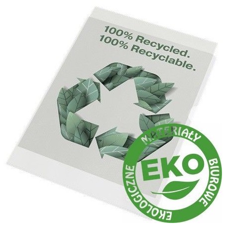 Folder-groszkowy-Esselte-Recycled-Premium-A4-100-mic-PP-w-kartoniku-op-100-szt