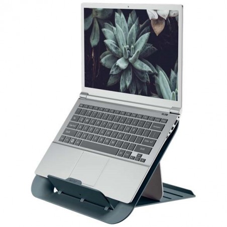 Laptop z tapetą z sukulentem, na szarej podkładce Leitz Cosy.