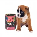Pies obok puszki z karmą Rafi Junior z cielęciną