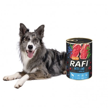 Pies obok karmy Rafi z jagnięciną