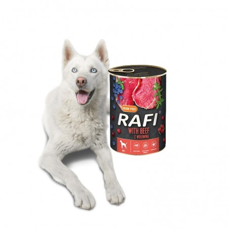 Pies obok puszki z karmą Rafi z wołowiną