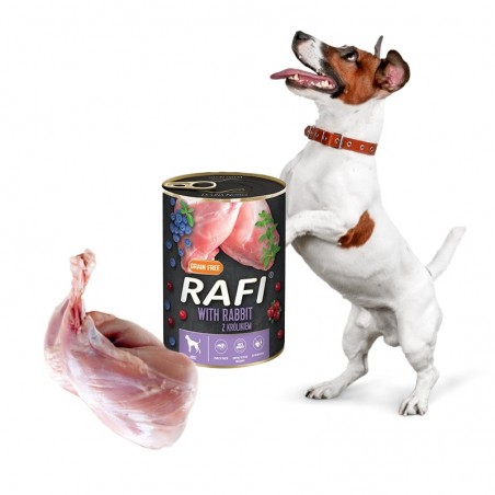 Pies z radością stoi obok karmy Rafi z królikiem
