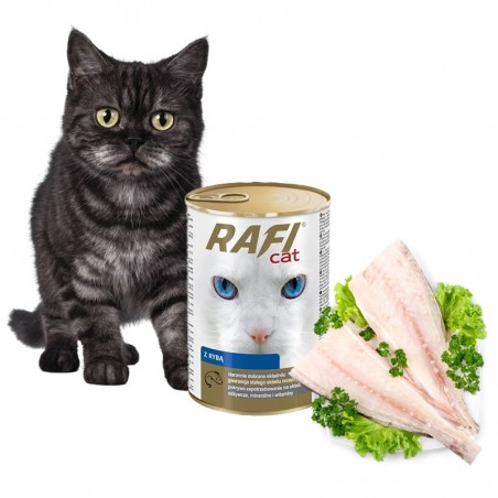 Rafi z rybą w puszce obok siedzi kot