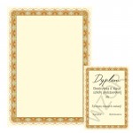 Papier Dyplom Złoto 170 G/M2
