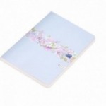 BRULION MIĘKKI OXFORD FLOWERS B5/96K KRATKA Z MARGINESEM