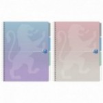 KOŁOZESZYT OXFORD GRADIENT PROJECTBOOK B5/80K KLASYCZNY MIX