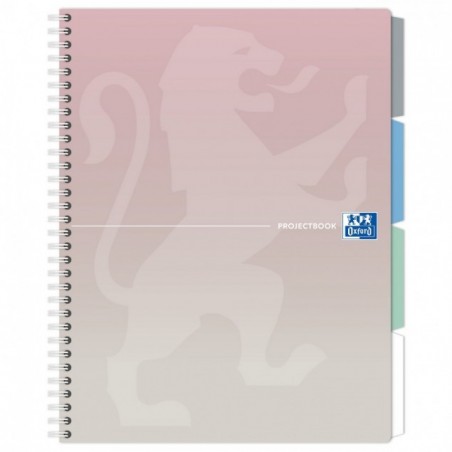 KOŁOZESZYT OXFORD GRADIENT PROJECTBOOK B5/80K KLASYCZNY MIX