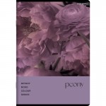 Zeszyt Top 2000 BOTANY A5 60 kartek w kratkę