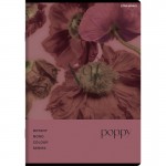 Zeszyt Top 2000 BOTANY A5 80 kartek w kratkę
