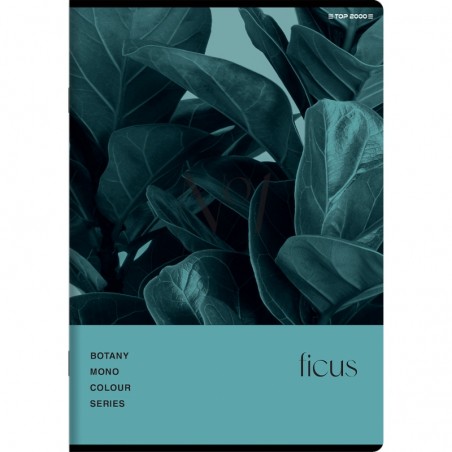 Zeszyt Top 2000 BOTANY A5 80 kartek w kratkę