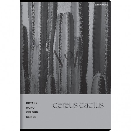 Zeszyt Top 2000 BOTANY A5 80 kartek w kratkę