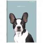 Zeszyt w linię z marginesem A5 TOP-2000 SWEET ANIMAL 60 kartek