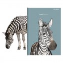 Zeszyt w linię z marginesem A5 TOP-2000 SWEET ANIMAL 96 kartek