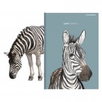 Zeszyt w linię z marginesem A5 TOP-2000 SWEET ANIMAL 96 kartek