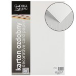 Karton Wizytówkowy A4 20 arkuszy 240G/m2, Płótno Biały