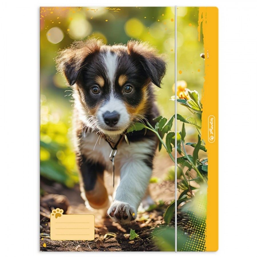 Teczka z gumką A4 Herlitz ANIMALS 1 szt. mix wzorów