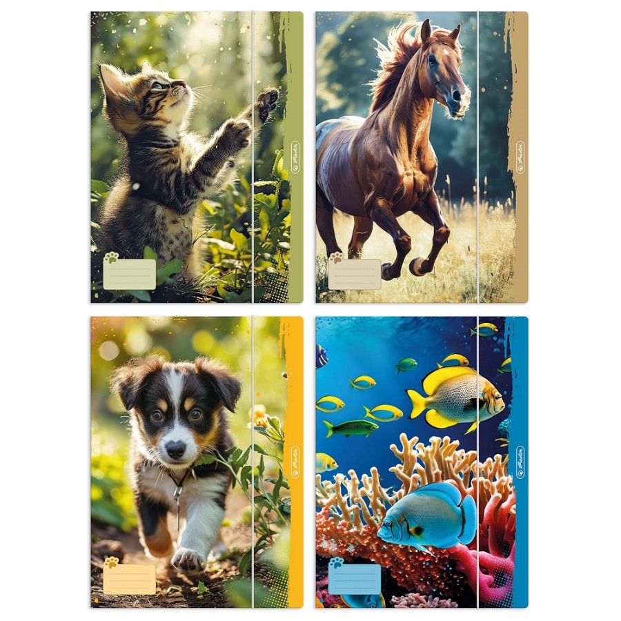 Teczka z gumką A4 Herlitz ANIMALS 1 szt. mix wzorów