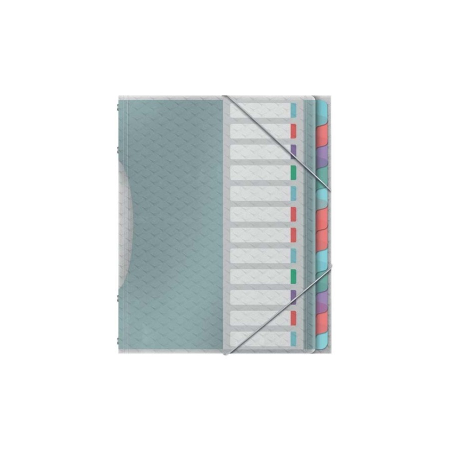 Teczka-segregujaca-Esselte-Colour'Breeze-z-12-przekladkami